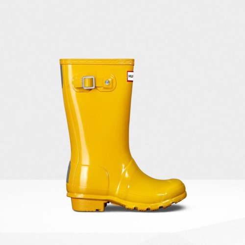 Hunter Original Gloss Wellies (L739M) Ireland